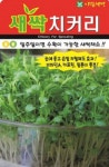 채소 종자 재배 씨앗 새싹치커리씨앗(20g) (A0439) : 구삼팔육마켓