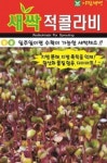 채소 종자 재배 씨앗 새싹적콜라비씨앗(300g) (A0477) : 구삼팔육마켓