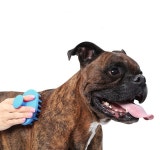 강아지빗 죽은털제거 엉킨털 관리 고양이 겸용 실리콘 덱사스 그루밍 브러쉬 (2color) : 퓨어프렌즈