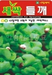채소 종자 재배 씨앗 새싹들깨씨앗(250g) (A0466) : 구삼팔육마켓