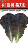 채소 종자 재배 씨앗 여름흑치마씨앗(2000립) (A0328) : 구삼팔육마켓