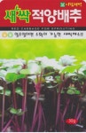 채소 종자 재배 씨앗 새싹적양배추씨앗(30g) (A0446) : 구삼팔육마켓