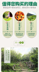 [4-103] 등화향 봉황단총 조주 특산 고산 우롱차 약500g by 영총차창 : 운남상회 티다차이