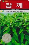 채소 종자 재배 씨앗 참깨씨앗(1000립(A0419) : 구삼팔육마켓