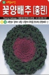 채소 종자 재배 씨앗 꽃양배추씨앗(10립) (A0416) : 구삼팔육마켓