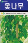 나무 종자 재배 씨앗 옻나무씨앗(200립) (A0571) : 구삼팔육마켓