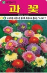 꽃 종자 재배 씨앗 과꽃씨앗(1000립) (A0594) : 구삼팔육마켓