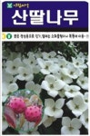 나무 종자 재배 씨앗 산딸나무씨앗(200립) (A0573) : 구삼팔육마켓