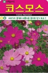 꽃 종자 재배 씨앗 코스모스씨앗(500립) (A0597) : 구삼팔육마켓