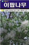 나무 종자 재배 씨앗 이팝나무씨앗(100립) (A0592) : 구삼팔육마켓