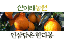 제주 서귀포 고당도 프리미엄 5k/10k 달콤 싱싱한귤 산아래농원 한라봉 사포냐귤 인담귤 : 열방마켓