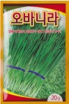 채소 종자 재배 씨앗 오바니라씨앗(20g) (A0411) : 구삼팔육마켓