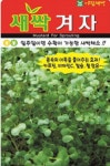 채소 종자 재배 씨앗 새싹겨자씨앗(30g) (A0432) : 구삼팔육마켓