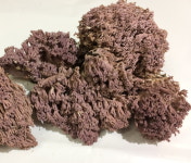 자연산 햇 싸리버섯 1kg : 봉화협동조합