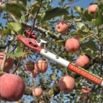 로프식고지가위 분재도구세트 정전가위 : 무제 스토어