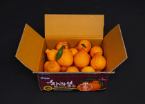 고당도하우스한라봉5kg : 제주낙원농장