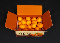 고당도 하우스 천혜향5kg : 제주낙원농장