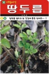 채소 종자 재배 씨앗 땅두릅씨앗(200립) (A0542) : 구삼팔육마켓