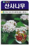 나무 종자 재배 씨앗 산사나무씨앗(200립) (A0580) : 구삼팔육마켓