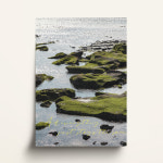 사계의 녹음 포스터 : 에스킨포