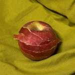 apple peel masking tape / 사과껍질 마스킹 테이프 / 사과 다이컷 테이프 : 자그네
