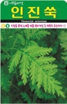 인진쑥 씨앗(1000립)(A0718) : 구삼팔육마켓