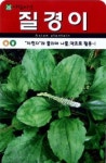 채소 종자 재배 씨앗 질경이씨앗(20000립) (A0541) : 구삼팔육마켓