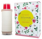 「주식회사 헤븐」 리안코리아 올유원트 II 비타민샤워필터 복합필터 염소제거 유충제거 : 팔팔드레곤