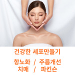 효소찜질방 대구 편백 효소찜질 체험 미생물 찜질방 10회 1회추가 총11회이용권 : 사온누리