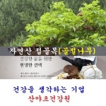박용복 접골탕(35일분):70팩 : 산야초건강원