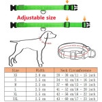 반려 강아지 고양이 카시트 중형 대형 차량 뒷자석 차시트Usb 충전 led 개  108 : 바구니Mall