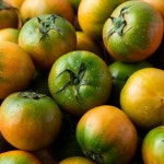 부산 대저 짭짤이 토마토 섞어 팔지 않고 정직하게 판매하는 산지직송 제철 과일 : 신선해농수산