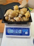 포항이레수산 백고동 골뱅이 1kg 밀키트 탕 : 포항이레수산