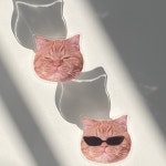 숨summ 힙한 고양이 스마트톡_썬구리 체다2 : summ