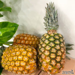 항공직송 고당도 프리미엄 미니 파인애플 푸레, 골드파인애플 모음 : 과일엔