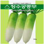 아시아 청수궁중무 씨앗 30g 김장무씨 무종자 텃밭용무종자 주말농장용무 : 수누피팜