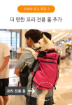 견체공학 어부바가방1 애견백팩 강아지 이동산책 가방(블랙) : 견체공학