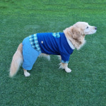[퍼피니스](3XL-8XL) 중 대형견용 뽀글이 털 안감 곰돌이 체크 패치 올인원 : 퍼피니스