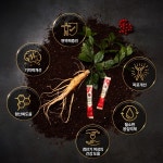 참진삼 프리미엄 블랙스틱 홍삼 스틱(10ml x 30포) : 센트리웰 케어스