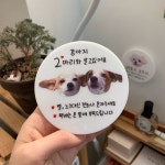 현관문패 도어사인 반려동물 아크릴간판 사진 주문제작 10cm 치타박스 : 치타박스