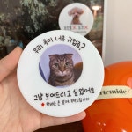 현관문패 도어사인 반려동물 아크릴간판 사진 주문제작 10cm 치타박스 : 치타박스