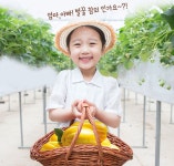 성주군참외 성주벌꿀참외 농장 고당도 성주 5kg 당일수확 산지직송 : 꽁 지 마 켓