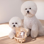 복슬강아지 연근오리칩 (50g) : 철수마켓