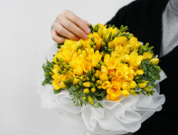 전국꽃배달서비스 후리지아 꽃다발 : 찜 전국꽃배달서비스당일배송