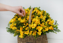 후리지아 꽃바구니배달 전국 꽃배달서비스 어버이날 카네이션 꽃바구니 : 찜 전국꽃배달서비스당일배송