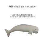 거제씨월드 몸에 착 감기는 애착 벨루가 바디필로우 : 세븐씨스 코리아