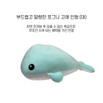 거제씨월드 부드러운 포그니 고래 (대) : 세븐씨스 코리아