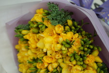 후리지아 꽃다발 배달 당일 꽃배달서비스 : 찜 전국꽃배달서비스당일배송