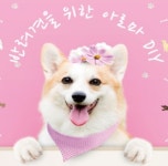반려견을 위한 아로마 DIY수업 : 플레르솝