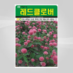 슬로시 크로바씨 레드 클로버 600g 씨앗 아람 : 슬로시